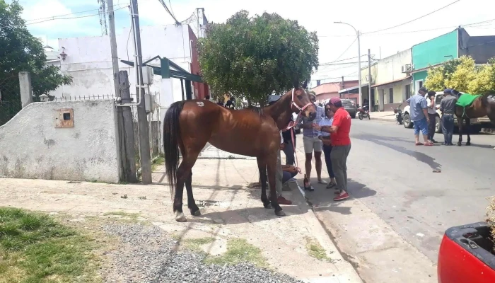 Club Social Y Deportivo Atenas -  Todo - Tala