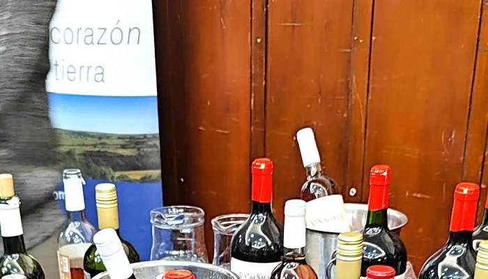 Club Tacuarembo -  Comentario 4 - Tacuaremb&oacute;