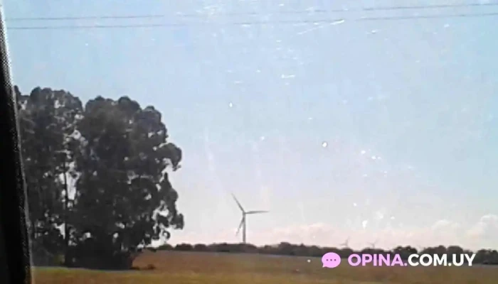 Club Tomas Bell -  Videos - Tarariras