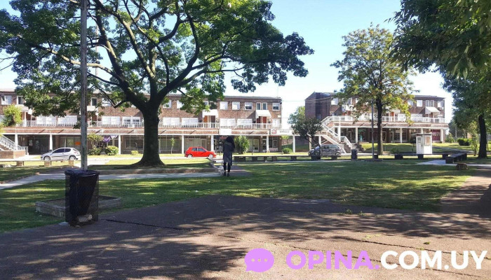 Co.vi.n.e. 5 - Montevideo