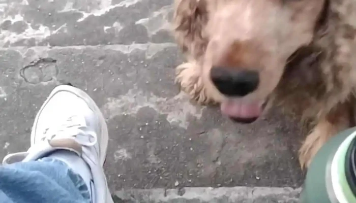 Cobena -  Videos - Las Piedras