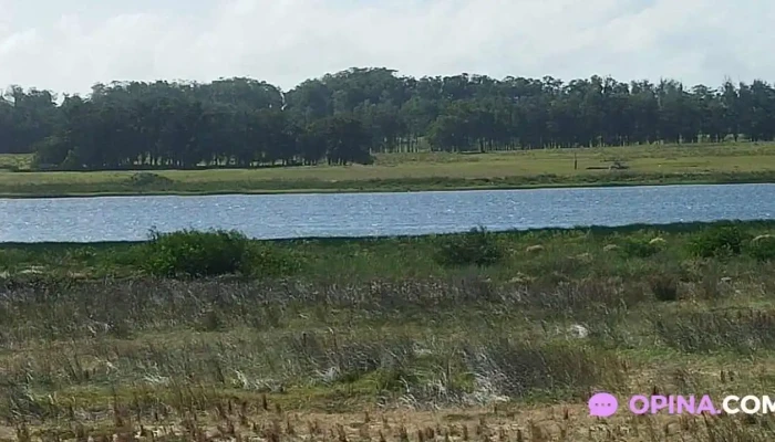 Cocina De La Barra -  Laguna De Rocha Mas Recientes - Laguna de Rocha (rincon de la Laguna)