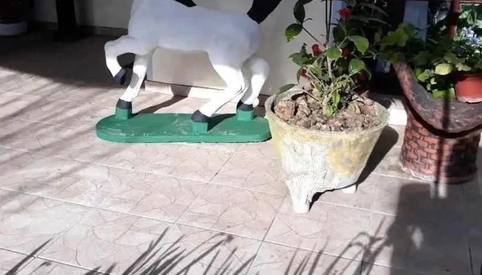 Coco Bar - Sarandí Grande Coco Bar - Sarandí Grande