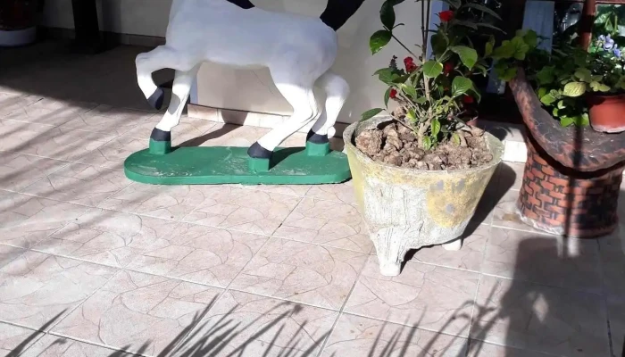 Coco Bar -  Todo - Sarand&iacute; Grande