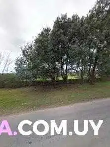 Coffee Point -  Street View Y 360 - Montevideo