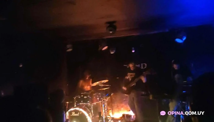 Cold Music Bar -  Videos - Montevideo