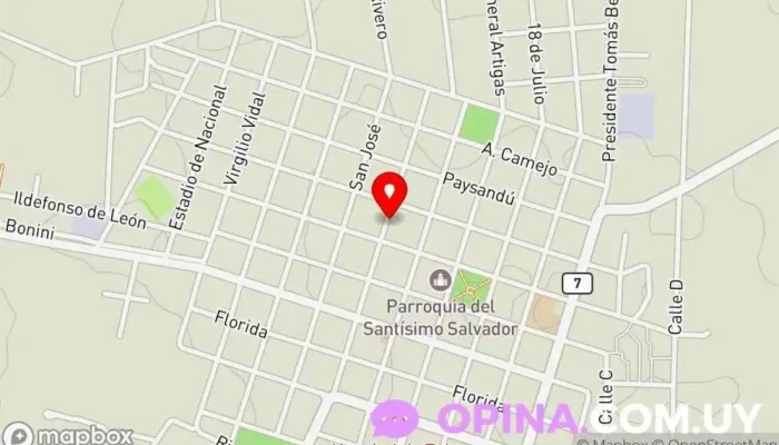 mapa de Colegio Divino Salvador De Tala Escuela en Tala