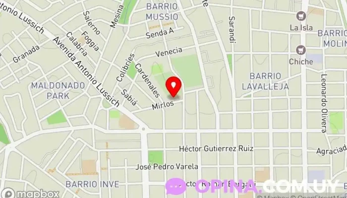 mapa de Colegio EMI educa Institución educativa, Escuela en Maldonado