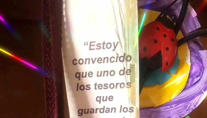 Colegio Hermanas Capuchinas - Maldonado