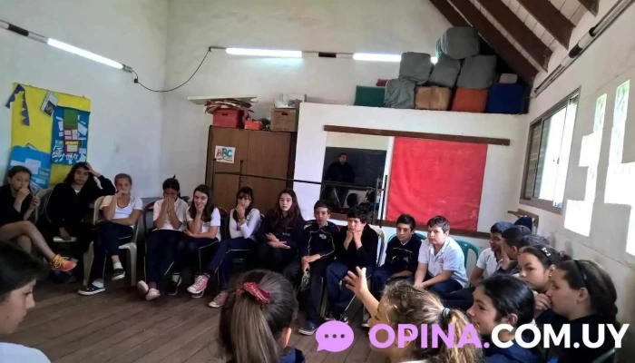 Colegio Joaquin Torres Garcia -  Estudiante - Piri&aacute;polis