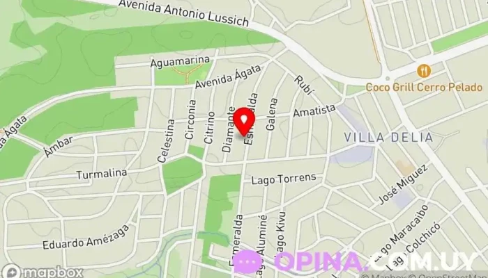 mapa de Colegio Olivos Colegio privado en Maldonado