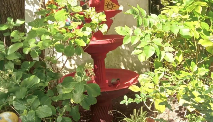 Colegio Padre Pio -  Promocion - Maldonado