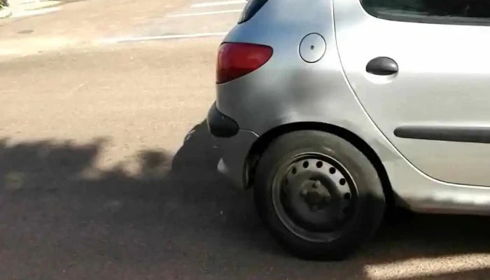 Colegio Pinares Del Este -  Videos - Maldonado