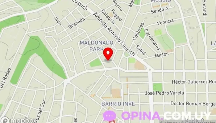 mapa de Colegio Sol y Luna Colegio bilingüe en Maldonado