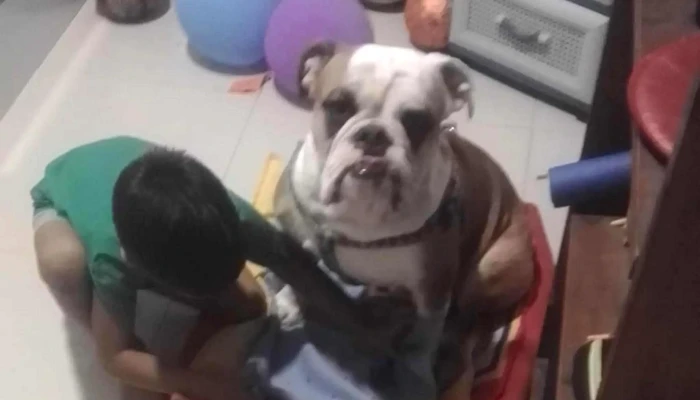 Colinas del Mirador - 18 De Mayo