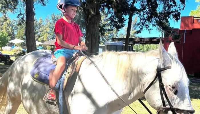 Colonia De Verano El Hormiguero -  Instagram - Montevideo
