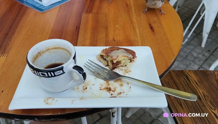 Colonia Sandwich Coffee Shop -  Videos - Col. del Sacramento