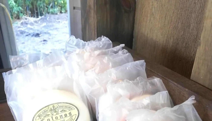 Colonos Fabrica De Alfajores Comentario 3 - Punta Ballena