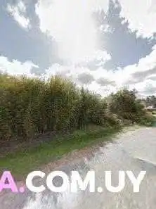 Colonos Fabrica De Alfajores Street View Y 360 - Punta Ballena