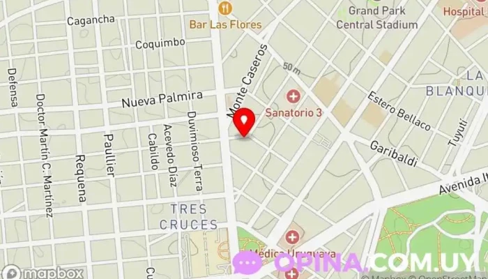 mapa de COLORTEXT Imprenta, Tienda de banderas en Montevideo