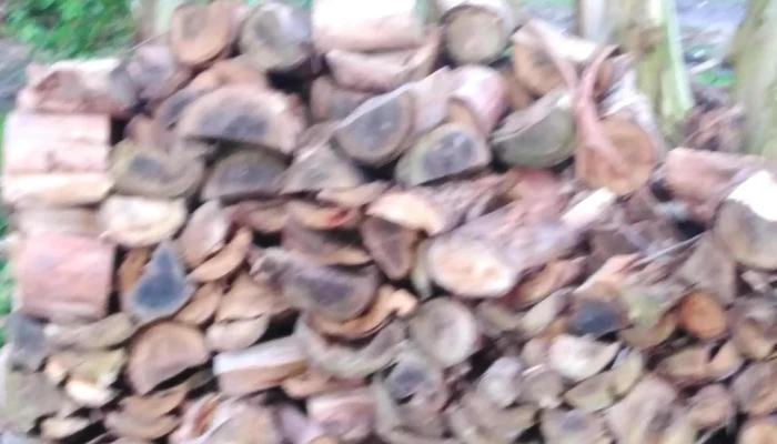 Comercio Sanchez -  Comidas Y Bebidas - Cañada Grande