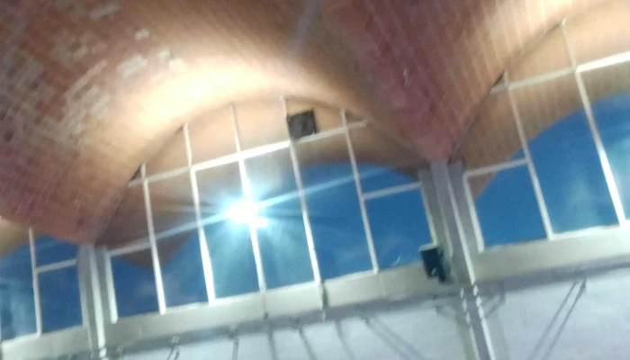 Complejo Cultural Crece Flor De Maronas Catalogo - Montevideo