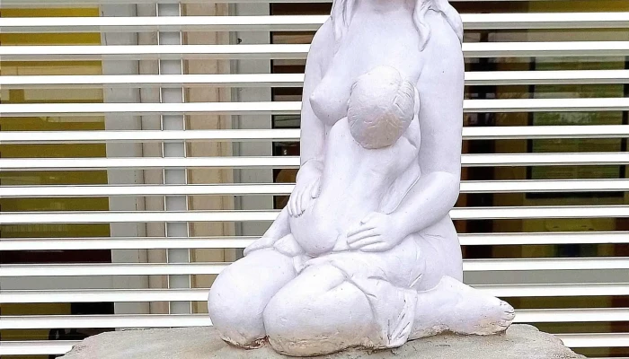 Complejo Cultural Crece Flor De Maronas Comentario 11 - Montevideo