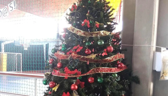 Complejo Cultural Crece Flor De Maronas Comentario 7 - Montevideo