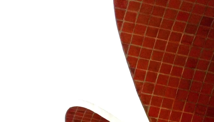 Complejo Cultural Crece Flor De Maronas Comentario 9 - Montevideo