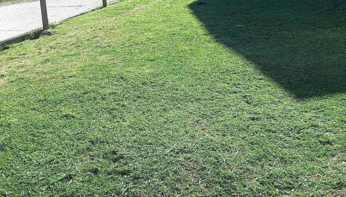 Complejo De Viviendas Ch83 -  De Los Visitantes - Montevideo