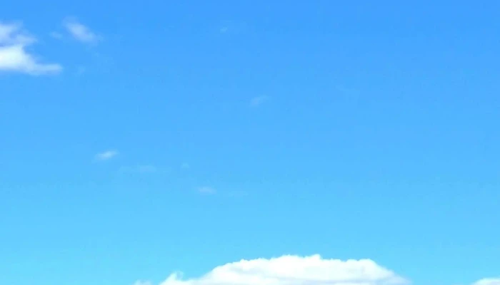 Complejo El Abrojal -    Club Social Y Deportivo La Lanera Catalogo - Durazno