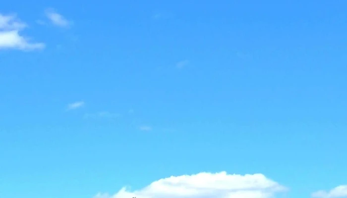 Complejo El Abrojal -    Club Social Y Deportivo La Lanera Cerca De Mi - Durazno