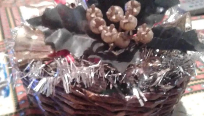 Complejo Habitacional Campo Espanol Alimento - Montevideo