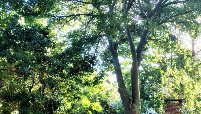 Complejo Habitacional Millan Y Lecocq Calle 5 Montevideo - Montevideo