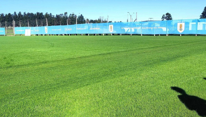 Complejo Uruguay Celeste -  Direccion - Maldonado