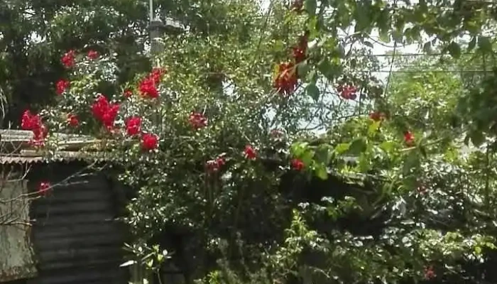 Conciliacion Todo - Montevideo