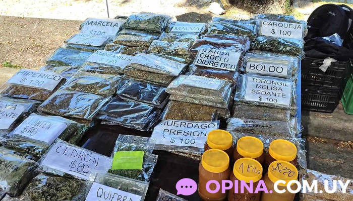 Condimentos Cabrera -  Direccion - Montevideo