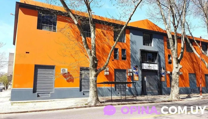 Consejo Capacitacion Profesional   Cocap Fotos - Montevideo