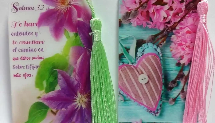 Consignataria Sociedad Biblica Y De Clc -  Del Propietario - Salto