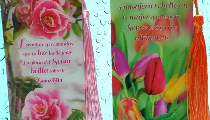 Consignataria Sociedad Biblica Y De Clc -  Donde - Salto