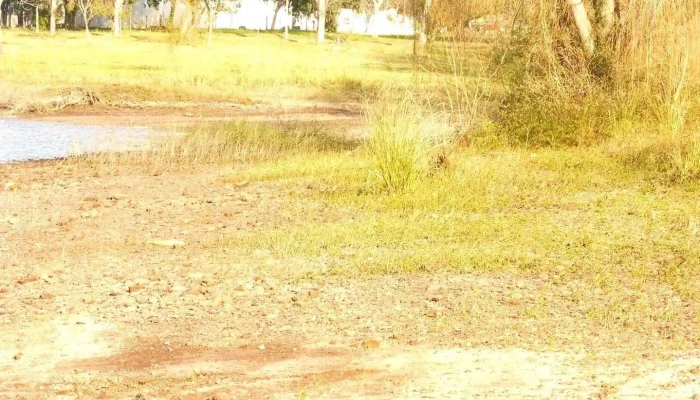 Constitución - Constitución