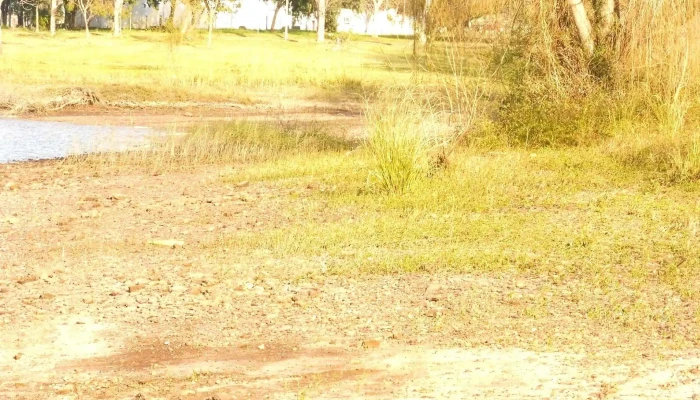 Constitucion Todo - Constitución