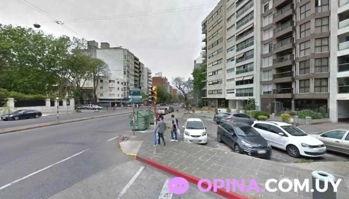 Consultorio Dental Uy - Odontólogo - Montevideo