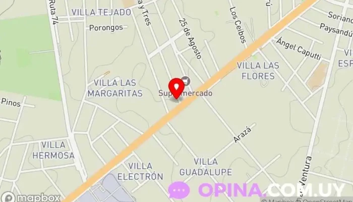 mapa de Consultorio Dra. Andrea Alonso Dentista en Barros Blancos