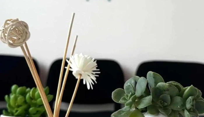 Consultorio Odontologico -  Del Propietario - Rocha