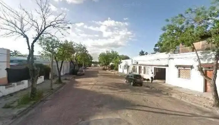 Consultorio Odontologico Dra Paula Oborsky Numero - Young