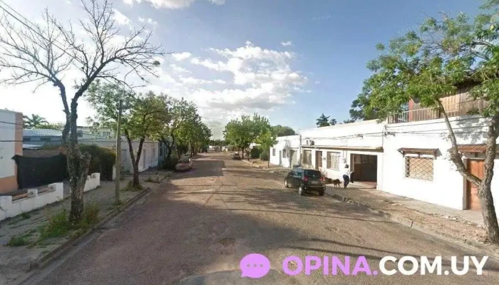 Consultorio Odontológico Dra Paula Oborsky - Young