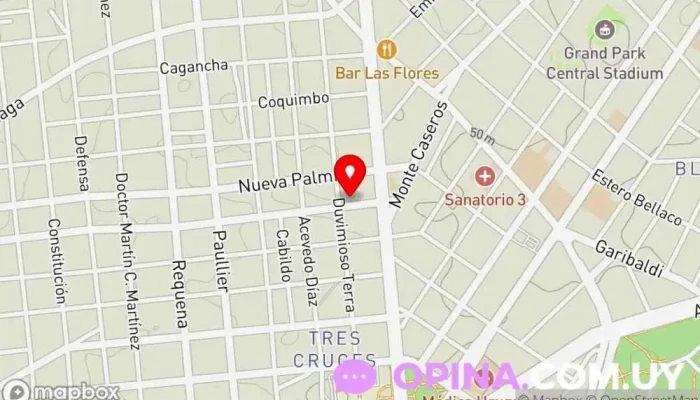 mapa de Consultorio Odontológico Dra Viviana Cavallero Clínica dental, Dentista en Montevideo