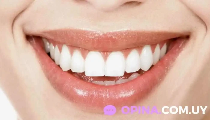 Consultorio Odontologico Draestefany Torres Fotos - Montevideo