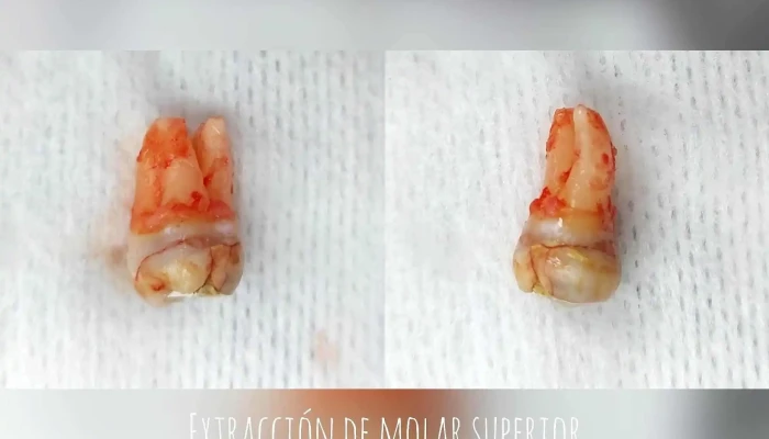 Consultorio Odontologico Dravirginia Diaz Bentancur Opiniones - Florida